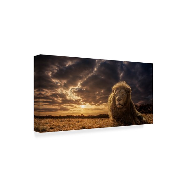 Jackson Carvalho 'The Lion King' Canvas Art,24x47